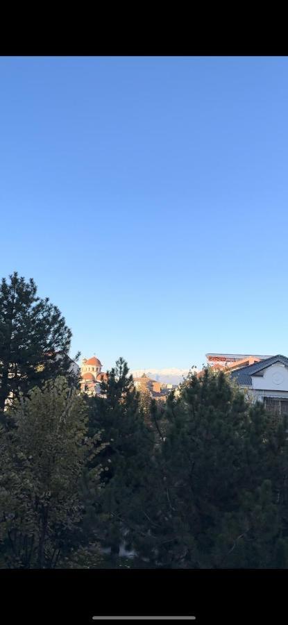 Villa Malo Guesthouse Κορυτσά Εξωτερικό φωτογραφία